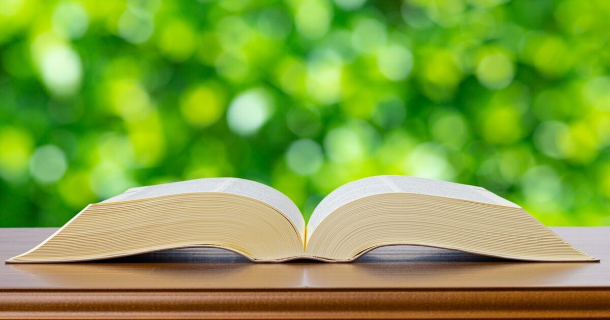 緑の背景に置かれた開いた本